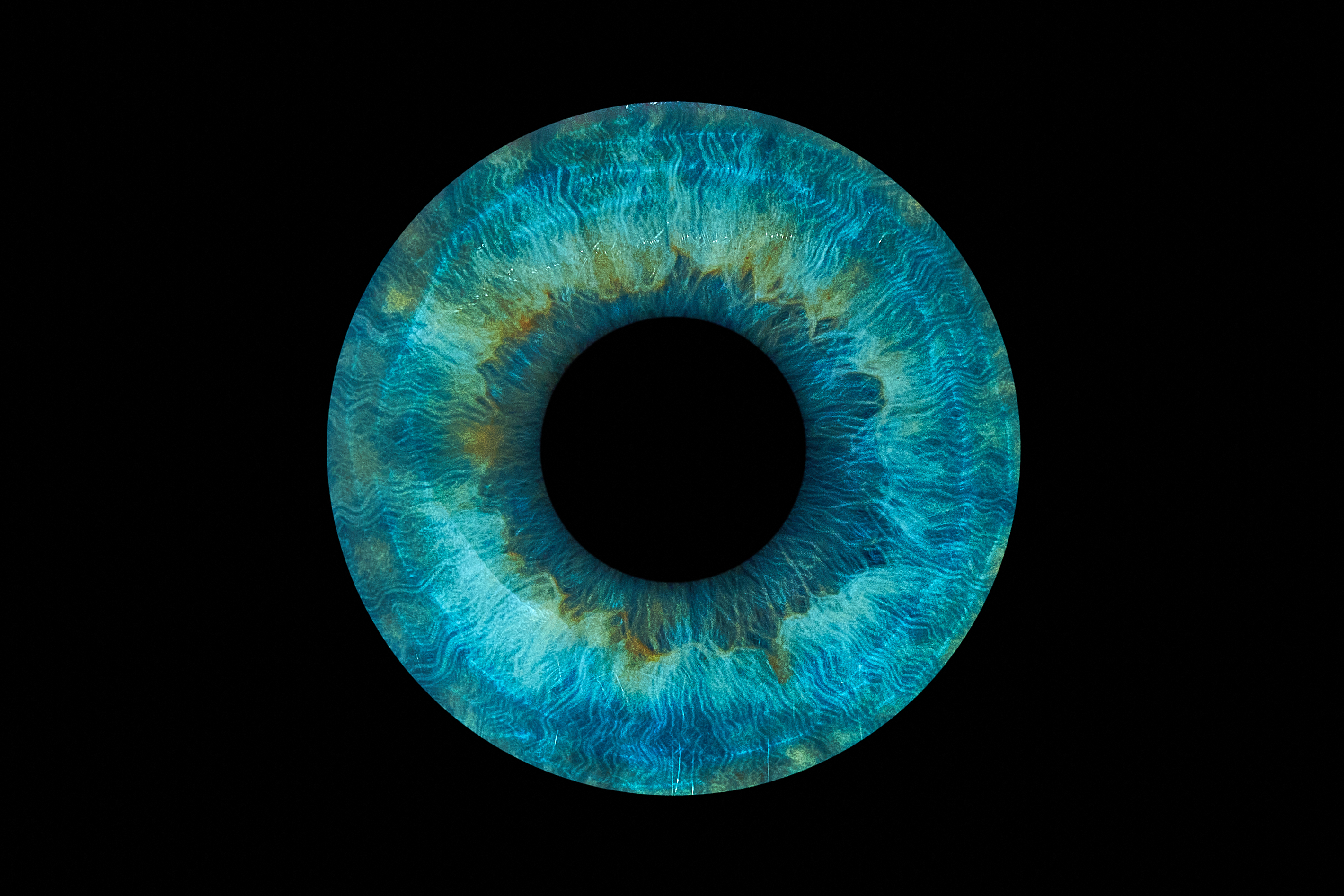 Iris-Kunstwerk von Lina